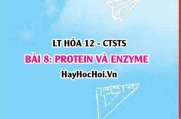 Protein, Enzyme là gì? tính chất hóa học, vật lí, cấu tạo của Protein, vai trò của Protein, Enzyme? Hóa 12 bài 8 CTST